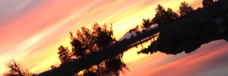 HerberRachel's profile banner image