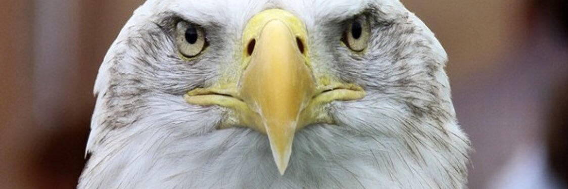 AmyFortenberry's profile banner image