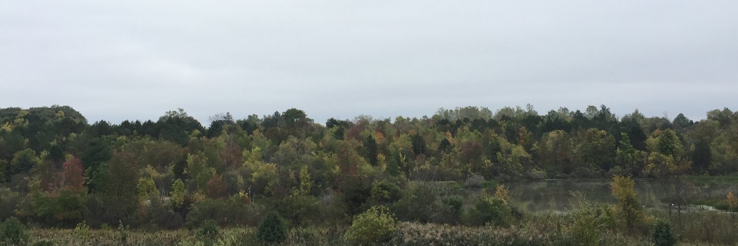 samuelviolet69's profile banner image