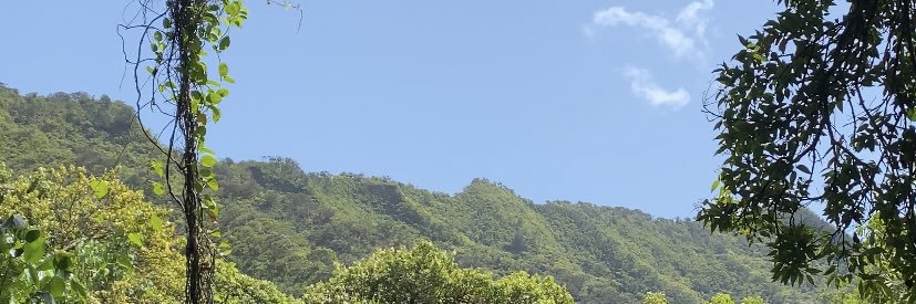 delaneyyshae's profile banner image