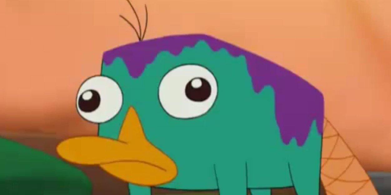 phin_flynn's profile banner image
