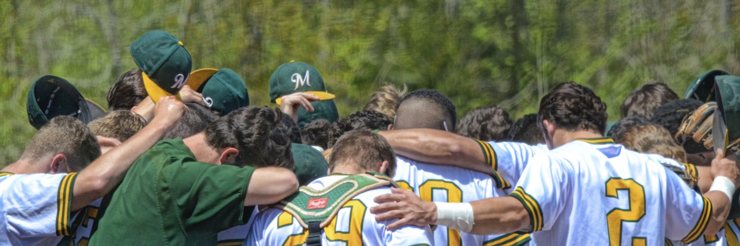 Motlow Baseball banner