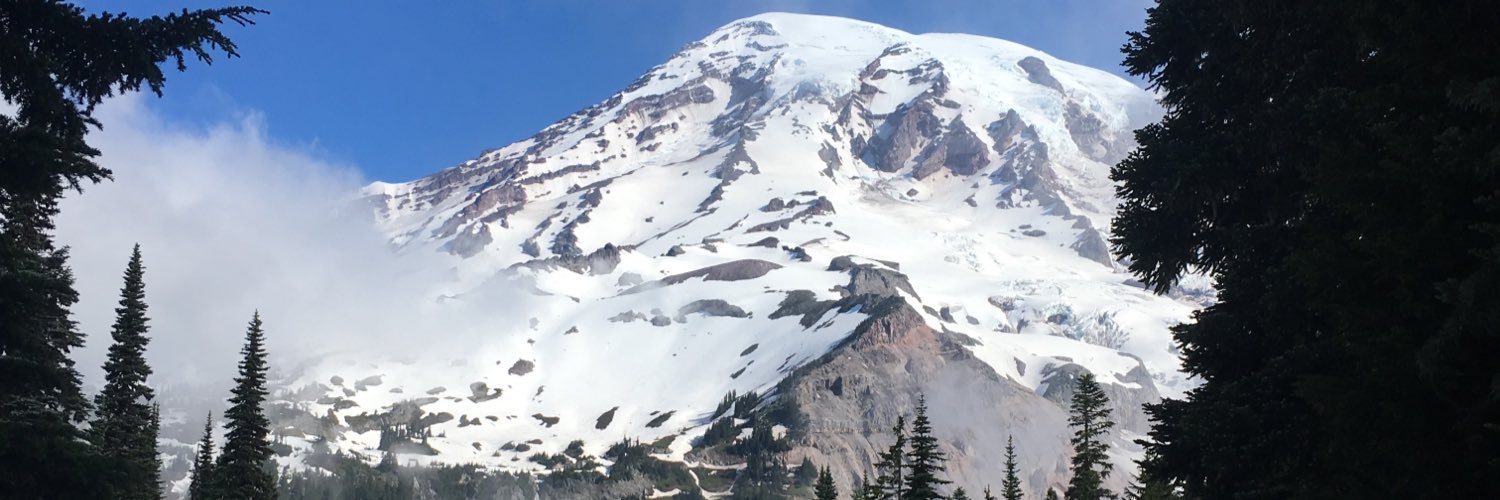 Nancee Bing Alavi banner