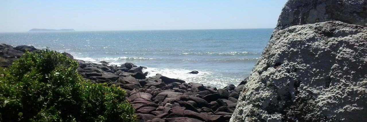 André Kipper banner