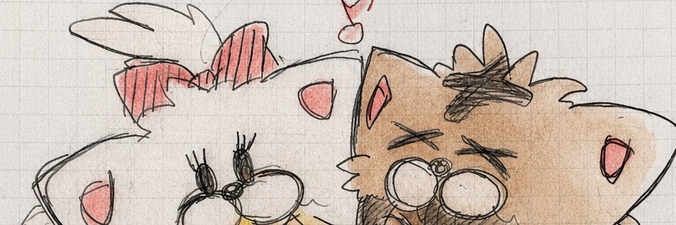 usaccoi's profile banner image