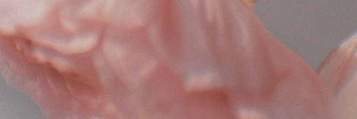 AlisaRodrguez's profile banner image