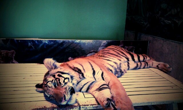 Susu Segar banner