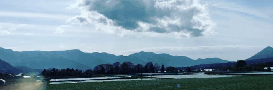 renakinging's profile banner image