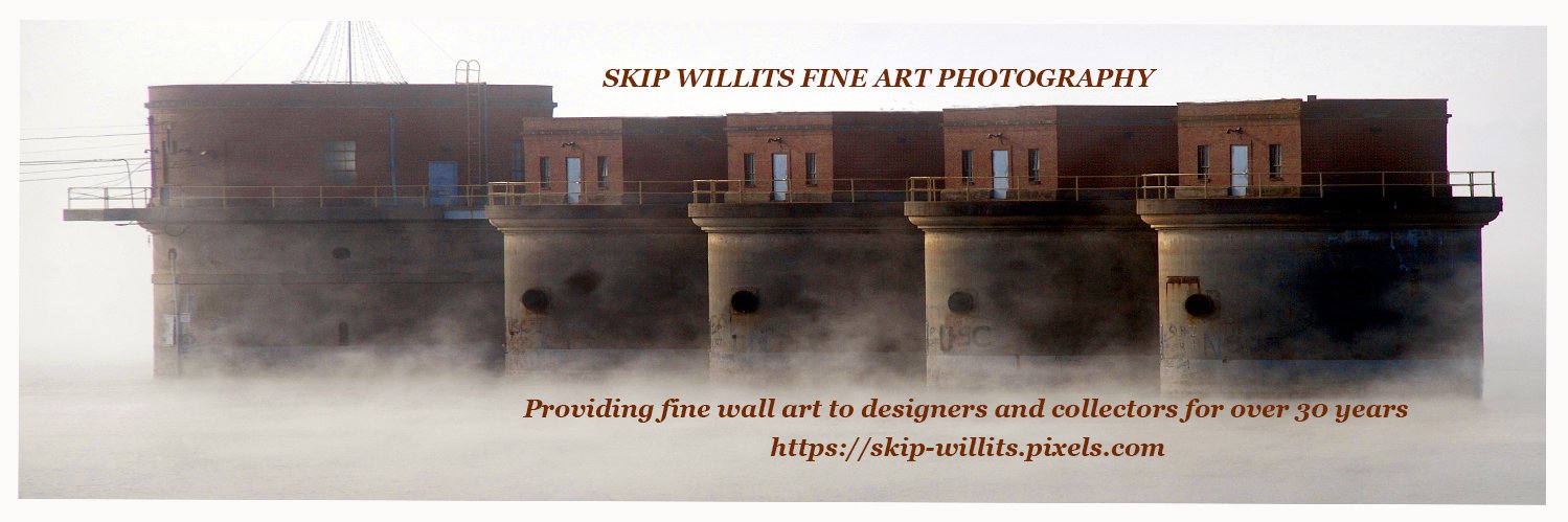 Skipwillits's profile banner image