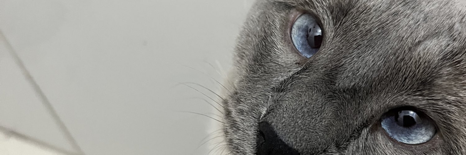 LiaAllvess's profile banner image