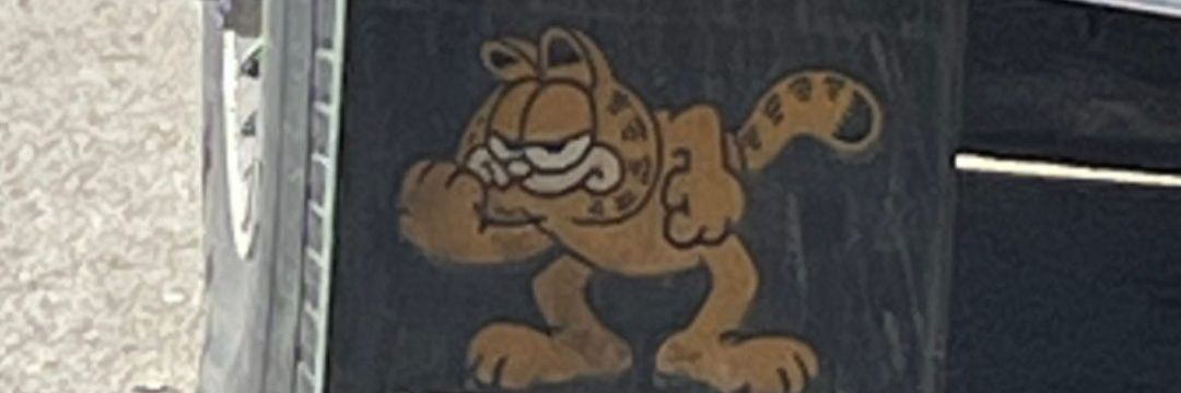 frogspotting's profile banner image