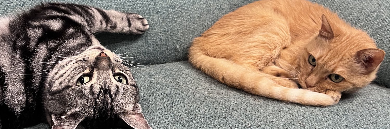 MIST.( ˙꒳​˙ ) banner