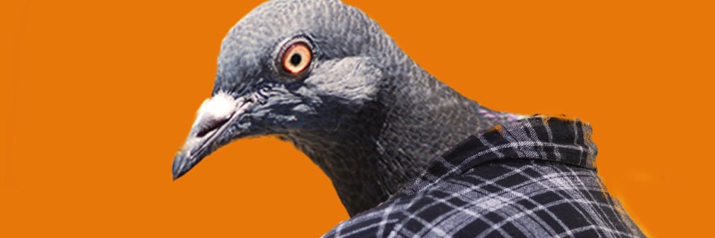 TrifeYagami's profile banner image