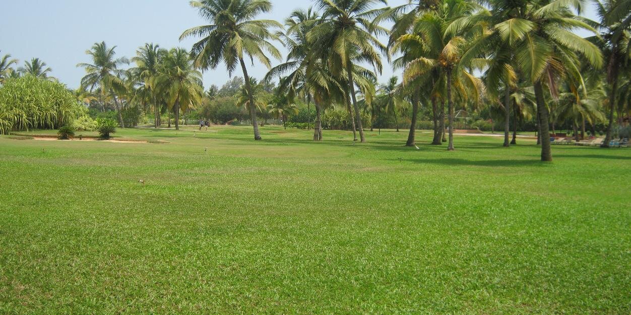 rajeevpratap5's profile banner image