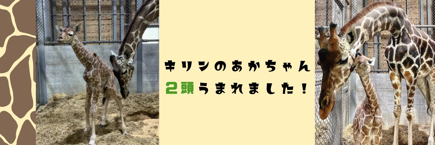 姫路セントラルパーク☆サファリ[公式]'s banner