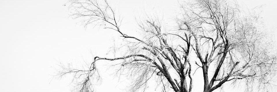 ADeepto_'s profile banner image