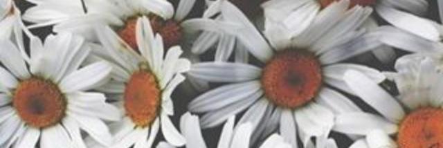 iheartyoumost's profile banner image