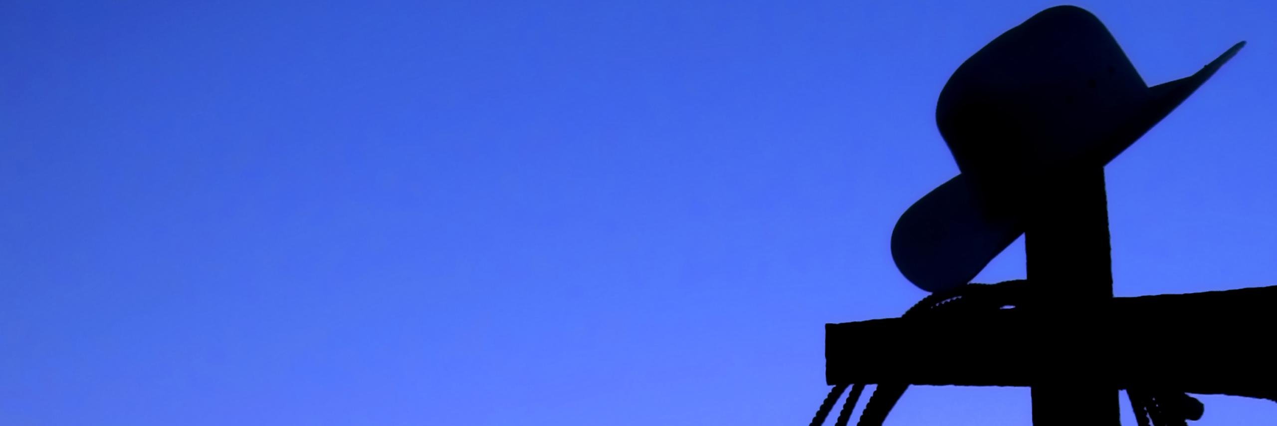 lassohcom's profile banner image