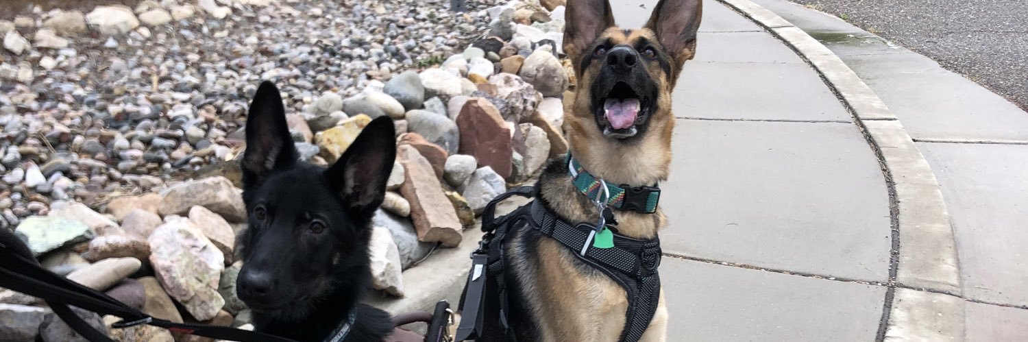 sam_sav_'s profile banner image