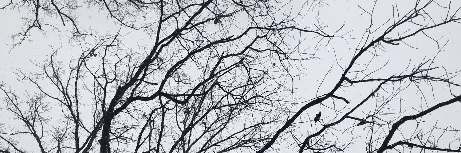 DavidLedbutter's profile banner image