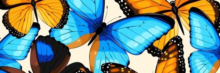 beccafaustin_'s profile banner image