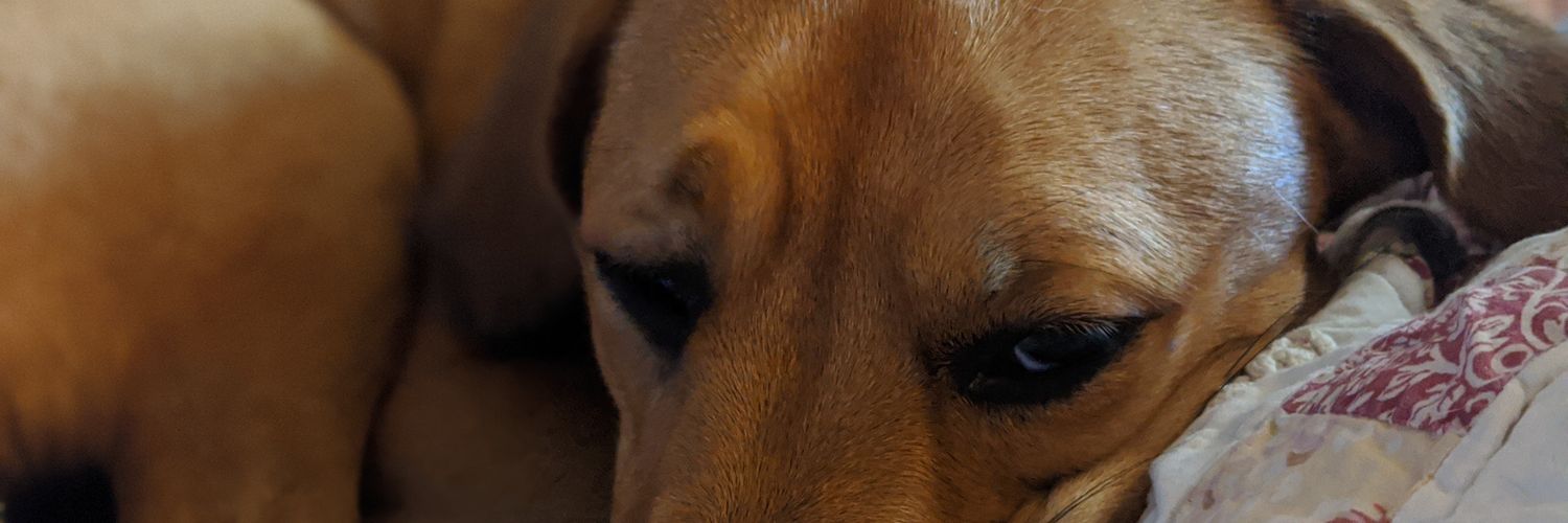 IAMTheWhiteCoco's profile banner image
