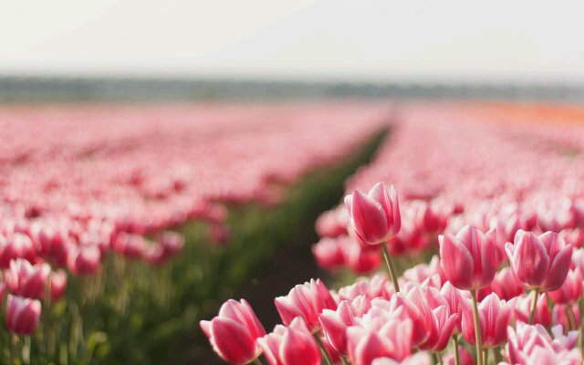 verenprayitnoo's profile banner image