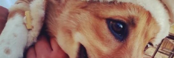 cjoydimaano's profile banner image