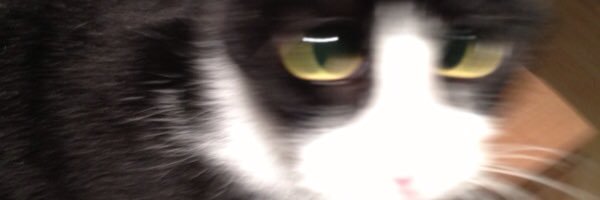 dgkbrera's profile banner image
