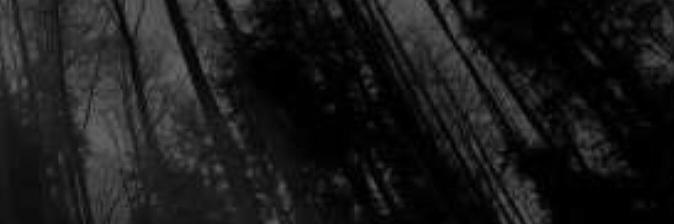 irismosh's profile banner image