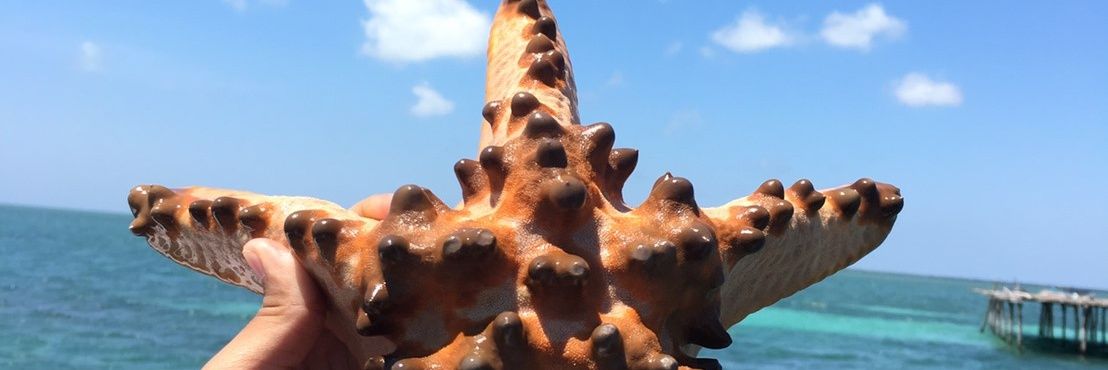Orang_sinii's profile banner image