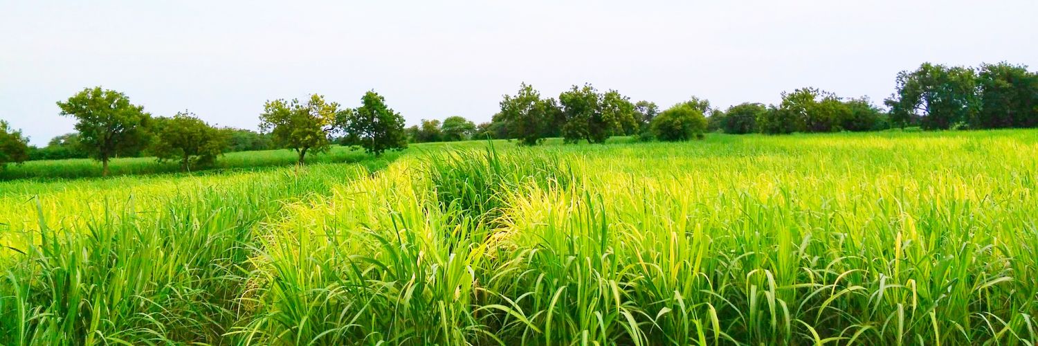 ravikumarch5's profile banner image