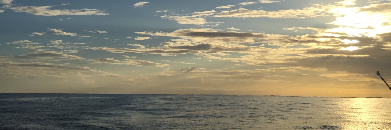 DanaDane412's profile banner image