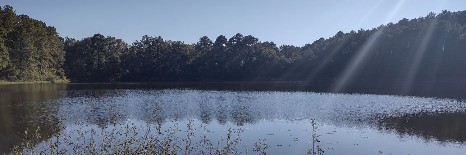 lindseyree10's profile banner image
