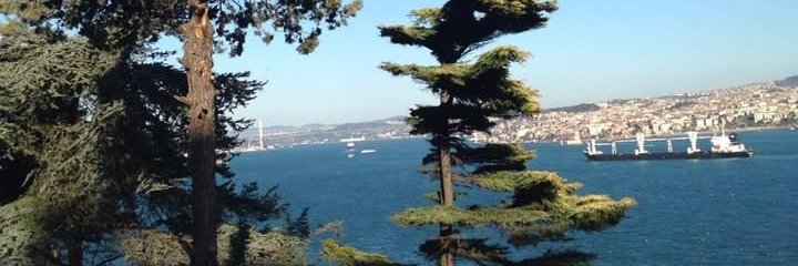 cherylannegroth's profile banner image