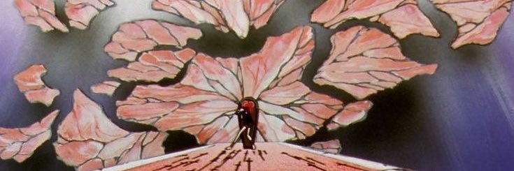 sheeina's profile banner image