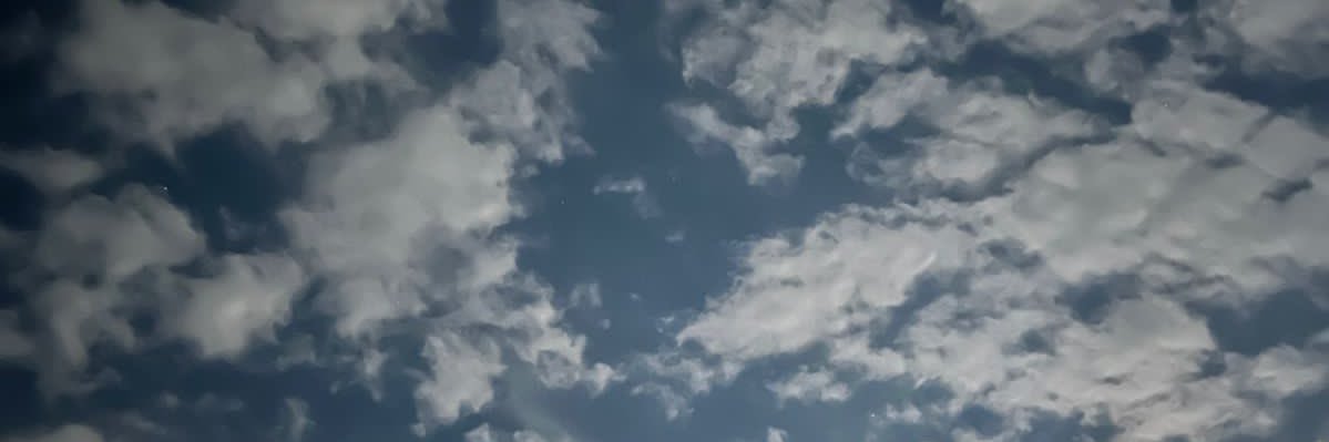 babeeslovee's profile banner image