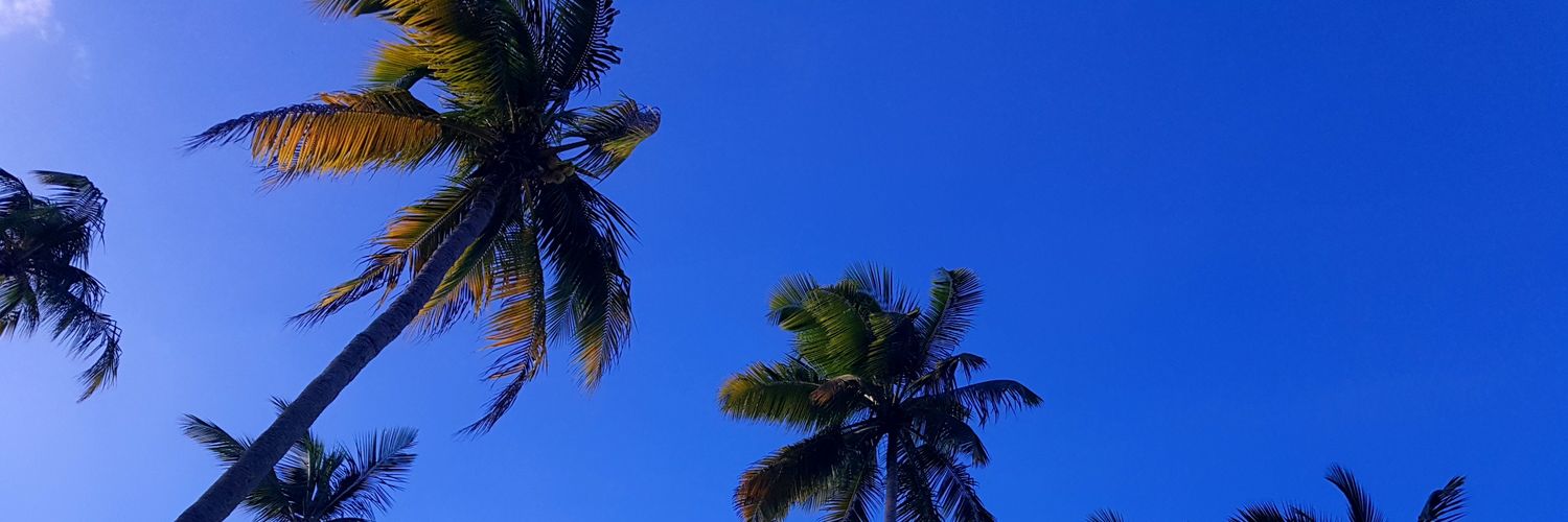 felipefls's profile banner image