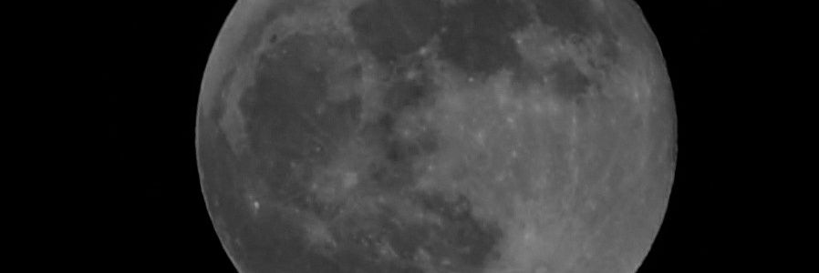 marta #Antifascista 🔻 banner