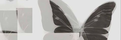 ˻˳˯ₑ slr, mt after dm banner