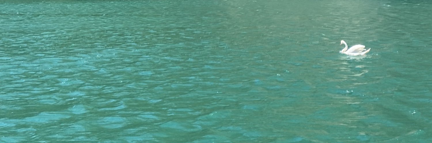LukeeWebb's profile banner image