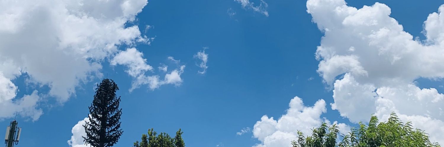 𝓈𝒾𝒻𝒾𝓈ℴ́. banner