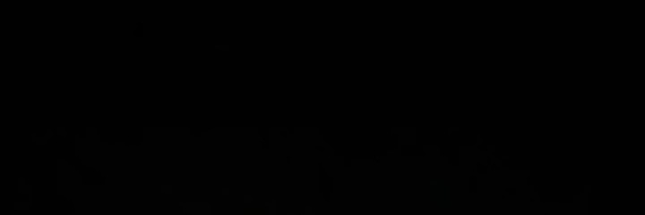 Siriusapus's profile banner image