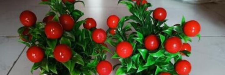 kusummakkar's profile banner image