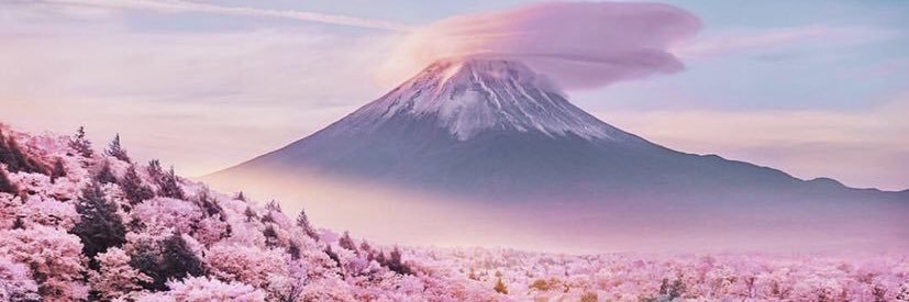 Moeshayan's profile banner image