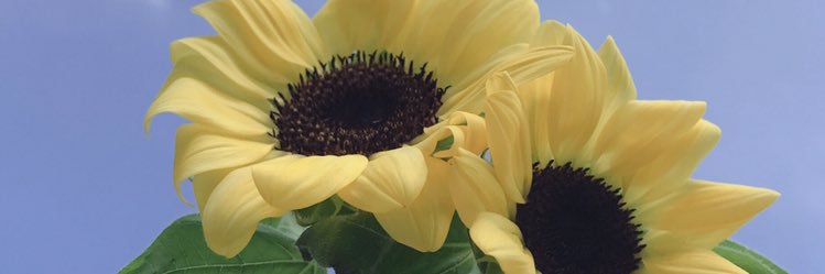 colar88call's profile banner image