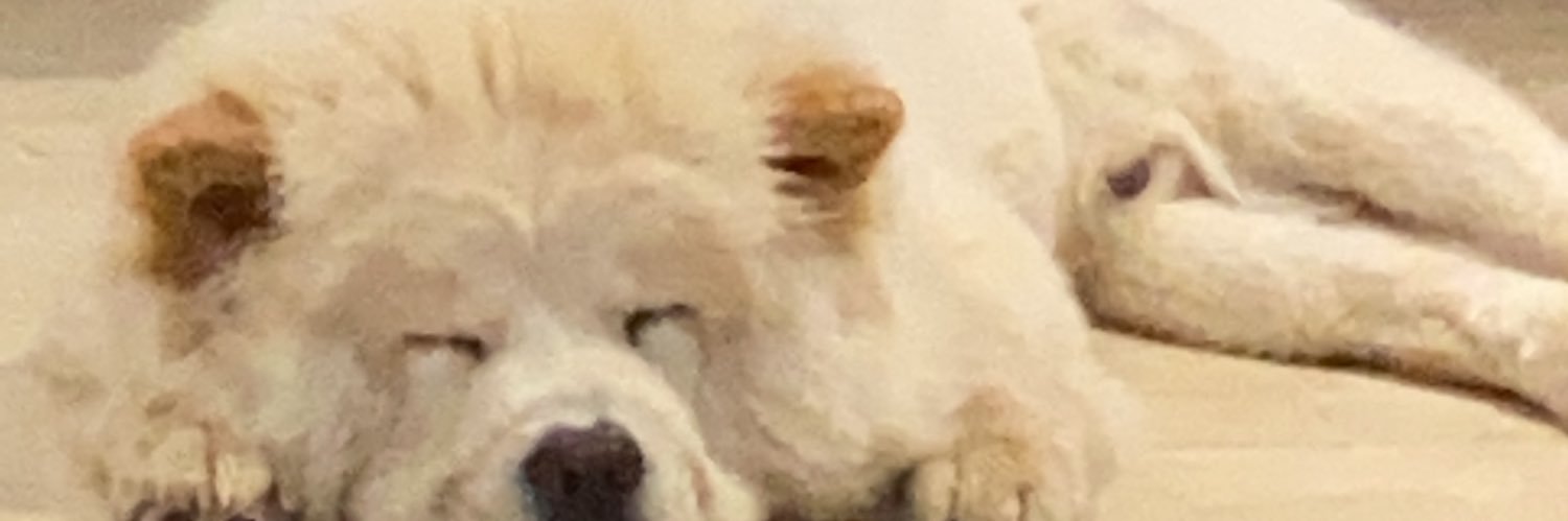bene_ablita's profile banner image
