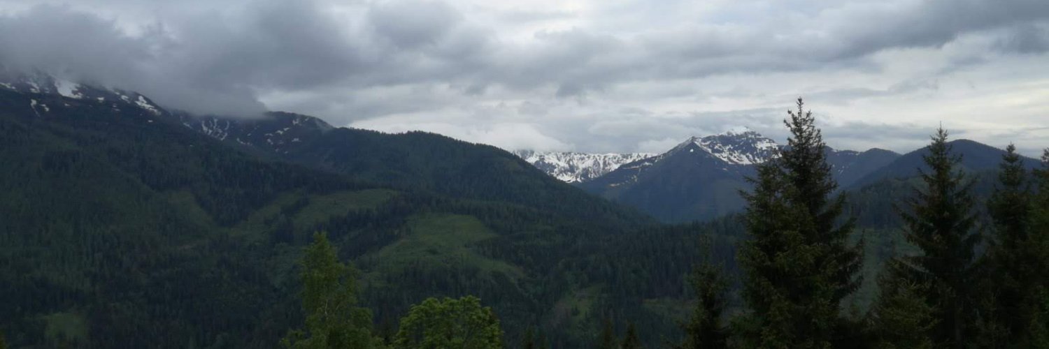 Matthias Freiberger banner