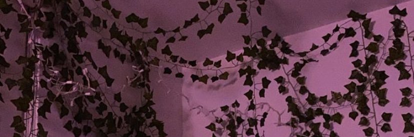 AmayaLewis22's profile banner image
