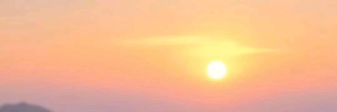 AraPatch's profile banner image